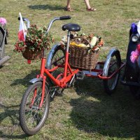 Zobacz w powiększeniu: Dożynki Gminne 2016 (35)