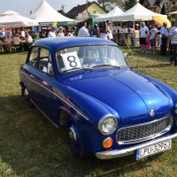 Zobacz w powiększeniu: Dożynki Gminne 2016 (38)