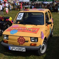 Zobacz w powiększeniu: Dożynki Gminne 2016 (39)
