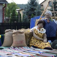 Zobacz w powiększeniu: Dożynki Gminne 2016 (45)