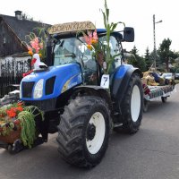 Zobacz w powiększeniu: Dożynki Gminne 2016 (46)