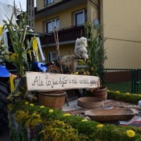 Zobacz w powiększeniu: Dożynki Gminne 2016 (47)
