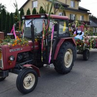 Zobacz w powiększeniu: Dożynki Gminne 2016 (51)