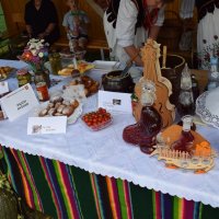 Zobacz w powiększeniu: Dożynki Gminne 2016 (54)