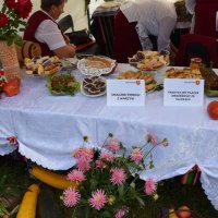 Zobacz w powiększeniu: Dożynki Gminne 2016 (56)
