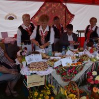 Zobacz w powiększeniu: Dożynki Gminne 2016 (58)