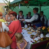 Zobacz w powiększeniu: Dożynki Gminne 2016 (59)
