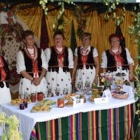 Zobacz w powiększeniu: Dożynki Gminne 2016 (60)
