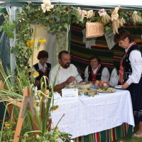 Zobacz w powiększeniu: Dożynki Gminne 2016 (61)