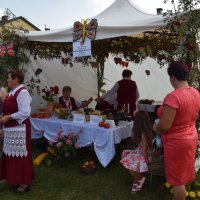 Zobacz w powiększeniu: Dożynki Gminne 2016 (62)