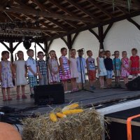 Zobacz w powiększeniu: Dożynki Gminne 2016 (13)
