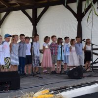 Zobacz w powiększeniu: Dożynki Gminne 2016 (15)