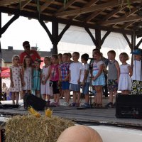 Zobacz w powiększeniu: Dożynki Gminne 2016 (16)