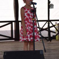 Zobacz w powiększeniu: Dożynki Gminne 2016 (19)