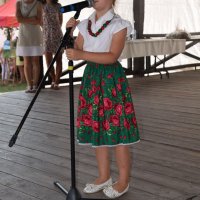 Zobacz w powiększeniu: Dożynki Gminne 2016 (20)