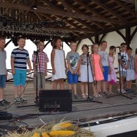 Zobacz w powiększeniu: Dożynki Gminne 2016 (23)