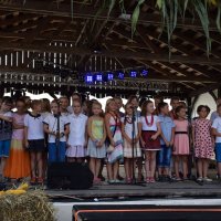Zobacz w powiększeniu: Dożynki Gminne 2016 (24)