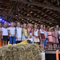 Zobacz w powiększeniu: Dożynki Gminne 2016 (25)