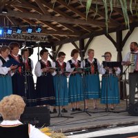 Zobacz w powiększeniu: Dożynki Gminne 2016 (28)