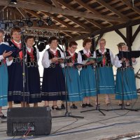 Zobacz w powiększeniu: Dożynki Gminne 2016 (29)