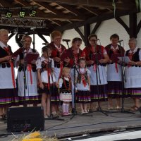 Zobacz w powiększeniu: Dożynki Gminne 2016 (36)