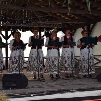 Zobacz w powiększeniu: Dożynki Gminne 2016 (40)