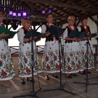 Zobacz w powiększeniu: Dożynki Gminne 2016 (41)