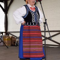 Zobacz w powiększeniu: Dożynki Gminne 2016 (44)