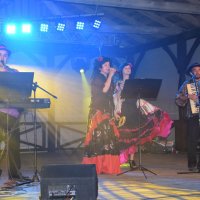 Zobacz w powiększeniu: Dożynki Gminne 2016 (3)