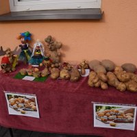 Zobacz w powiększeniu: Święto Pieczonego Ziemniaka (3)