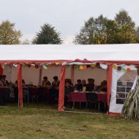 Zobacz w powiększeniu: Święto Pieczonego Ziemniaka (5)