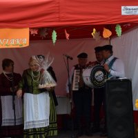 Zobacz w powiększeniu: Święto Pieczonego Ziemniaka (7)