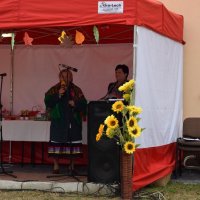 Zobacz w powiększeniu: Święto Pieczonego Ziemniaka (10)