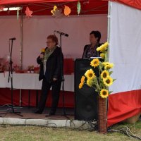 Zobacz w powiększeniu: Święto Pieczonego Ziemniaka (11)