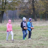Zobacz w powiększeniu: Święto Pieczonego Ziemniaka (12)