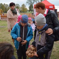 Zobacz w powiększeniu: Święto Pieczonego Ziemniaka (14)