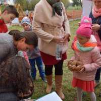 Zobacz w powiększeniu: Święto Pieczonego Ziemniaka (15)