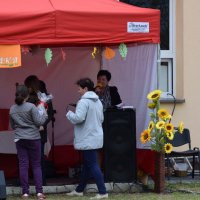 Zobacz w powiększeniu: Święto Pieczonego Ziemniaka (22)
