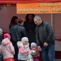 Zobacz w powiększeniu: Święto Pieczonego Ziemniaka (24)