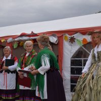 Zobacz w powiększeniu: Święto Pieczonego Ziemniaka (25)
