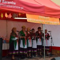 Zobacz w powiększeniu: Święto Pieczonego Ziemniaka (31)