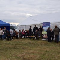 Zobacz w powiększeniu: Święto Pieczonego Ziemniaka (35)