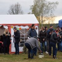 Zobacz w powiększeniu: Święto Pieczonego Ziemniaka (41)