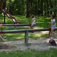 Zobacz w powiększeniu: Wycieczka do Kozłówki 2016 (14)