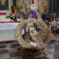 Zobacz w powiększeniu: Dożynki Gminne 2017 (5)