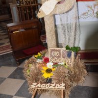 Zobacz w powiększeniu: Dożynki Gminne 2017 (7)