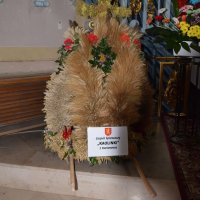 Zobacz w powiększeniu: Dożynki Gminne 2017 (9)
