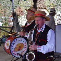 Zobacz w powiększeniu: Dożynki Gminne 2017 (12)