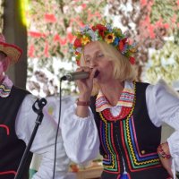 Zobacz w powiększeniu: Dożynki Gminne 2017 (13)