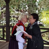 Zobacz w powiększeniu: Dożynki Gminne 2017 (20)
